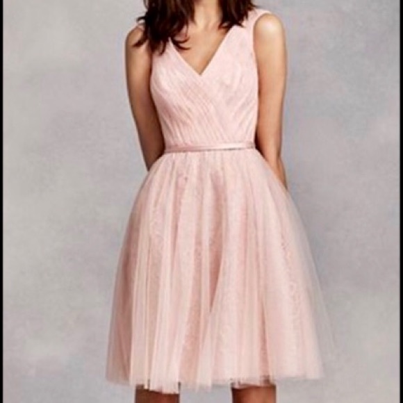 Vera Wang Dresses & Skirts - Vera Wang White Label Blush Lace Tulle Dress 6